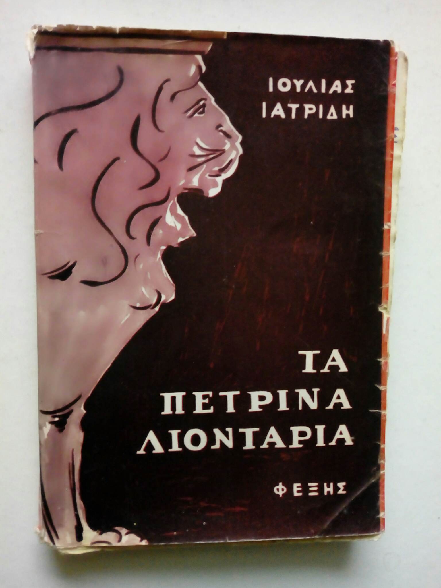 Τα πέτρινα λιοντάρια Ιουλία Ιατρίδη Φέξης 1963